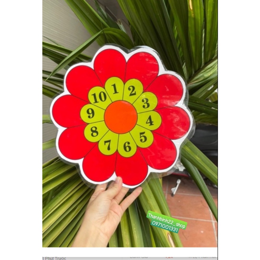 Cây hoa đồng hồ A3 Ép Plastic sẵn nam châm lá.............