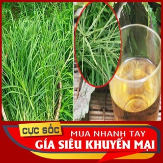 Cỏ Mần Trầu tươi 1kg