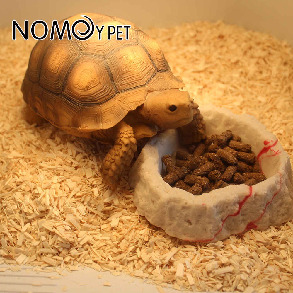 Lót Nền Trăn Rắn 500gr – Poplar Wood Chip – Nomoy
