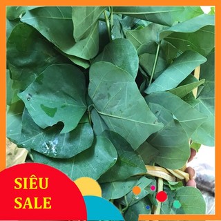 Lá Vông tươi -1kg