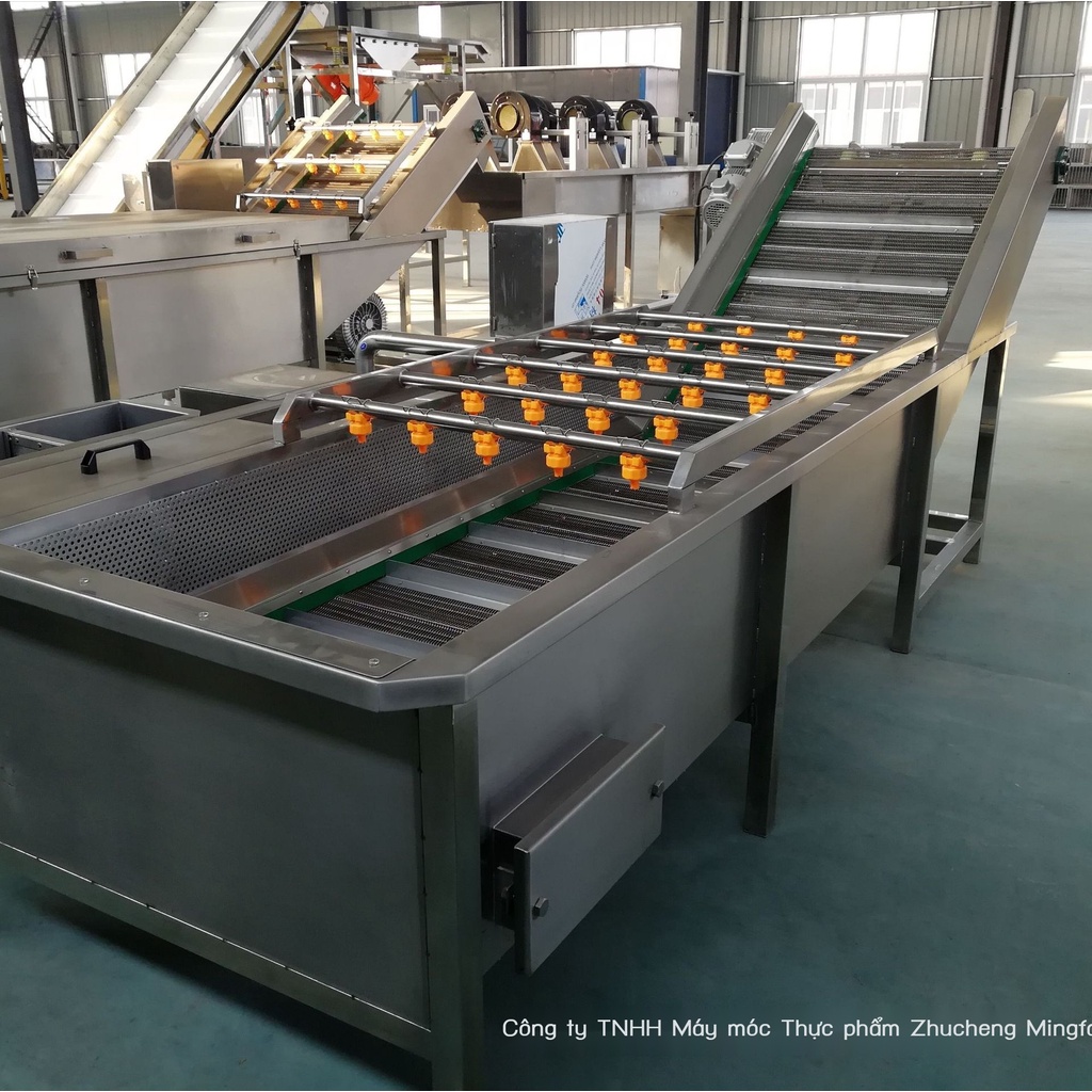 ✖Máy làm sạch rau quả hoàn toàn tự động Máy làm sạch đậu phun bong bóng Thiết bị máy rửa rau siêu thị