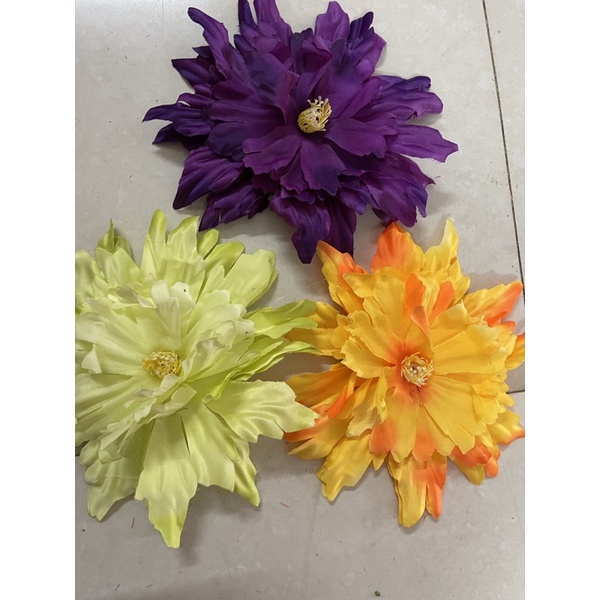 Mẫu đơn phi rời thanh lý