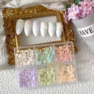 Khay hoa nhí 6 ô mix bi khay hoa nhí mix màu mix size