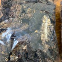 1kg Trái nhàu khô giúp tiêu hóa dễ dàng, lợi tiểu, nhuận trường, ổn định huyết áp, tăng cường miễn dịch, làm đẹp