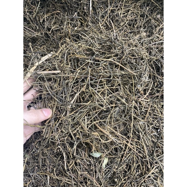 DÂY TƠ HỒNG XANH khô loại 1