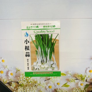 Hạt giống hành lá củ tròn . 2 gr/gói