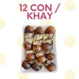 Ốc Bưu Nhồi Thịt [10-12con/khay] – Ốc Bưu Ngon – [Ship Hỏa Tốc HCM]