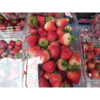 Dâu tây tươi Mộc Châu khay 500g Siêu Ngon (ảnh shop chụp)