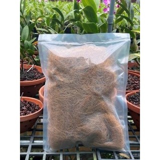 Sợi chỉ dừa trồng lan Dendro