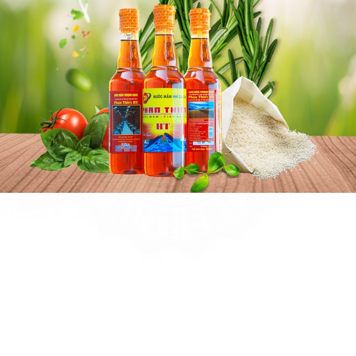 Lốc nước mắm nhỉ cá cơm Phan Thiết thương hiệu HT 10 chai