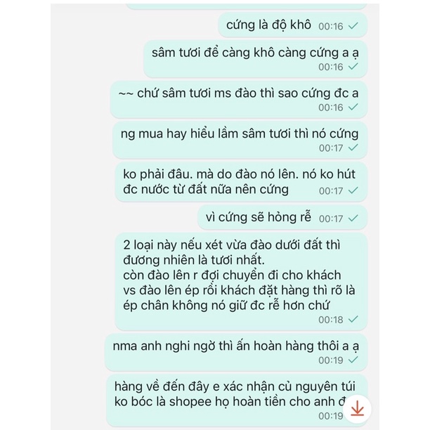 CHỈ SỈ Sâm tươi hàn quốc, nhân sâm hầm gà 35k mini size 60 củ/kg