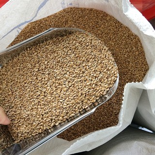 1kg Lúa mì cho chim kiểng, gà kiểng