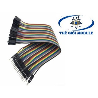 Dây bus, dây bẹ đực cái 20cm