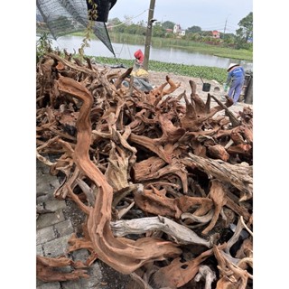 GỖ LŨA GHÉP LAN - LŨA SẦM ĐỎ