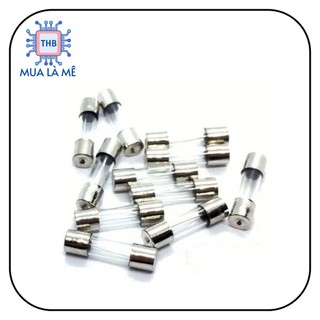Cầu chì thủy tinh 2A 250V 5x20mm(10C)