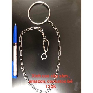 Xích chân vẹt xám