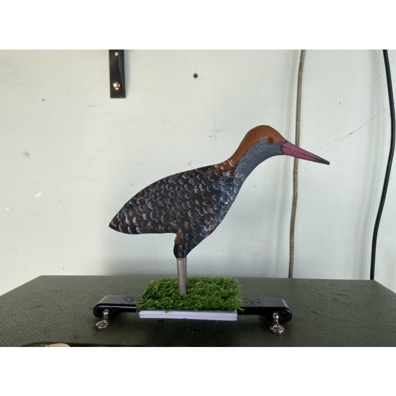 Chim chằng nghịch mồi giả .