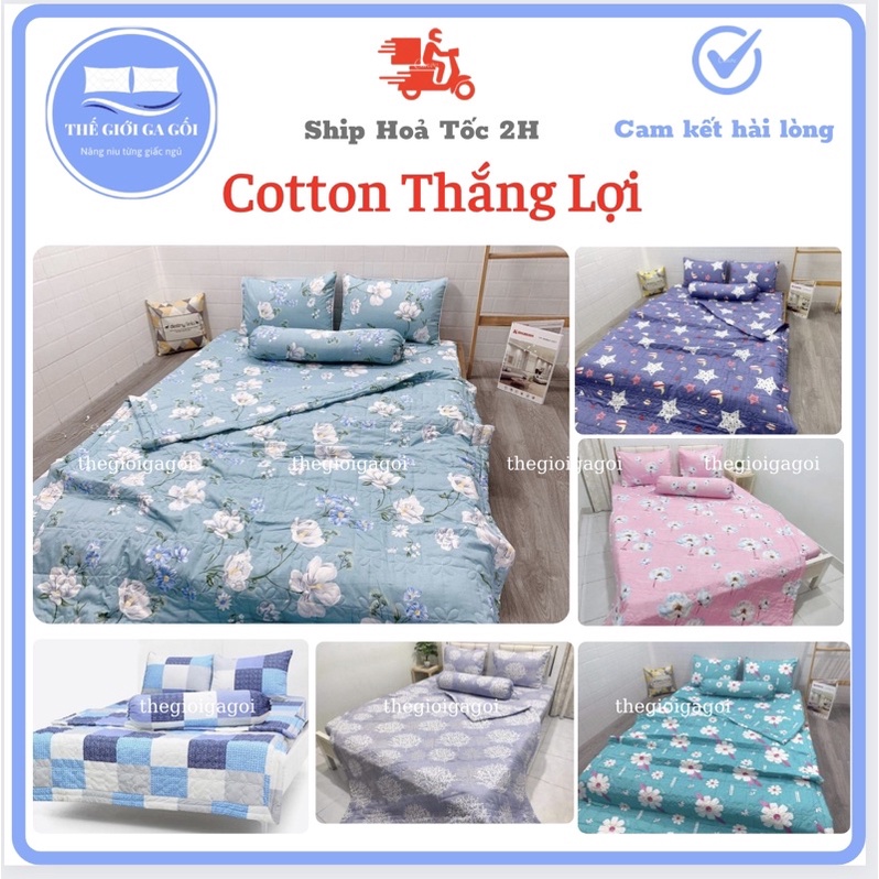 Bộ Drap (4 món) 1m6 x 2m Cotton 100% Thắng Lợi chính hãng IN LOGO THẮNG LỢI