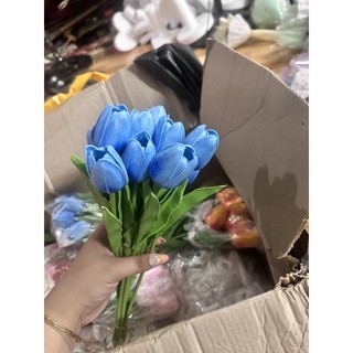 Hoa tulip cao su non ( đầu hoa nhỏ)