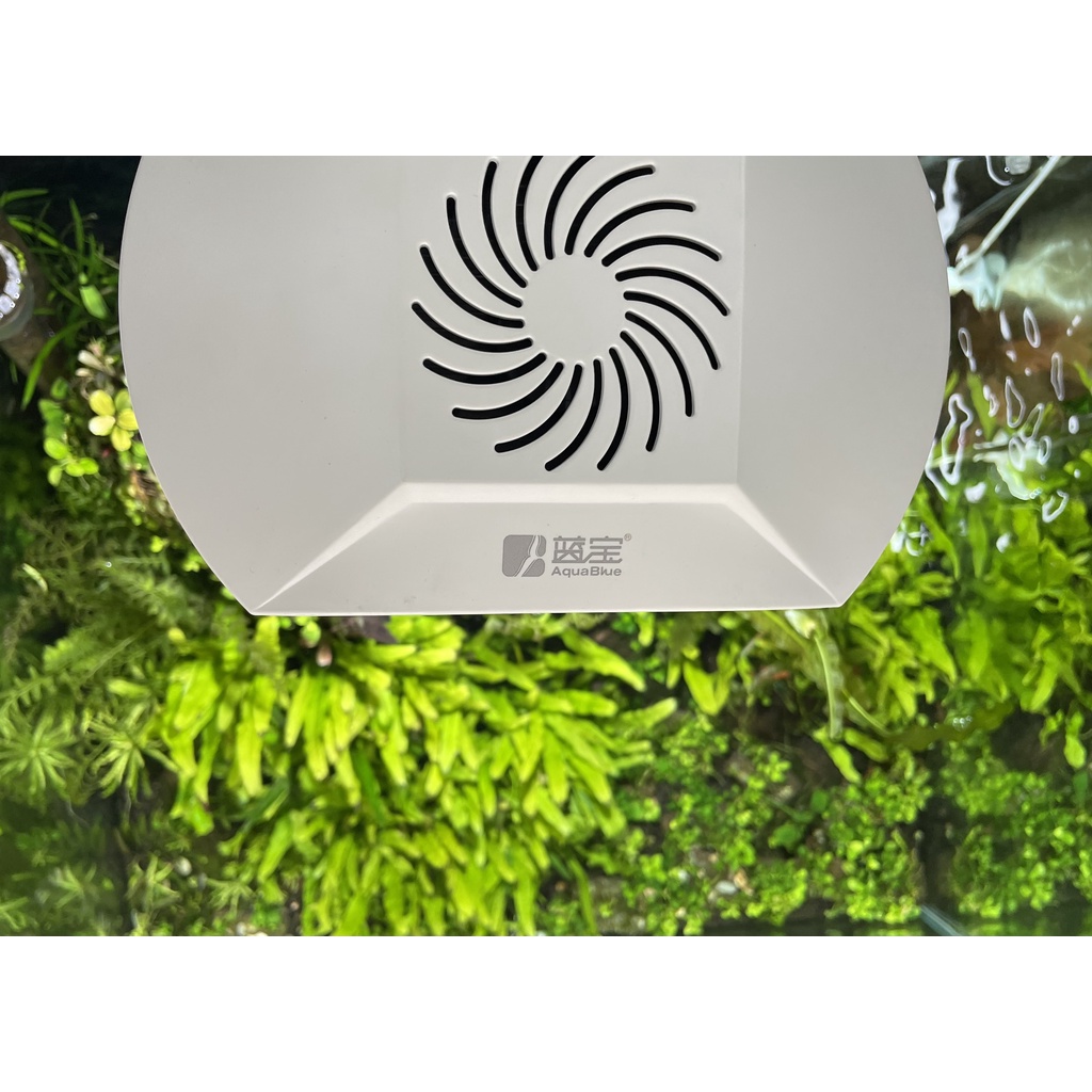 ĐÈN LED WRGB AQUA BLUE S6