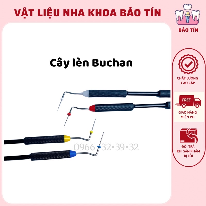 CÂY LÈN DỌC NHA KHOA . CÂY LÈN BUCHAN CHÍNH HÃNG