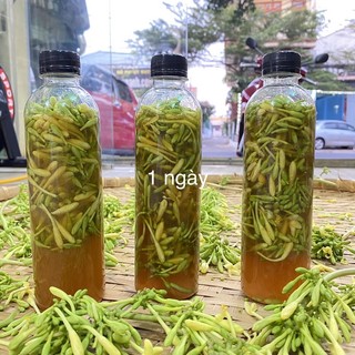 Hoa đu đủ đực tươi ngâm mật ong hoa cafe đắk lắk nguyên chất