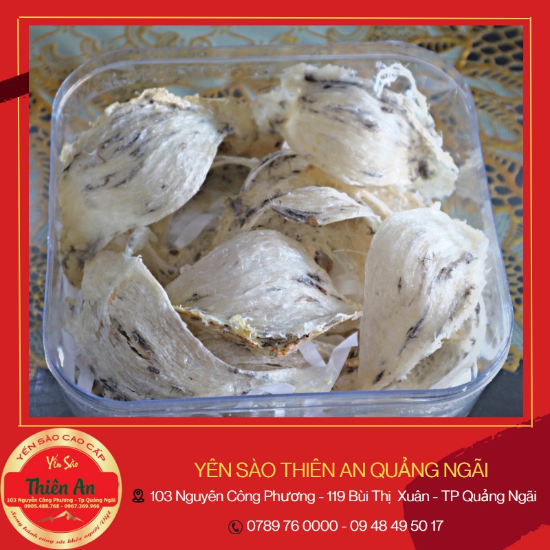 50G TỔ YẾN THÔ ÍT LÔNG - Tặng Kèm Nguyên liệu Chưng + Nhíp - Yến Sào Ven Biển Quảng Ngãi