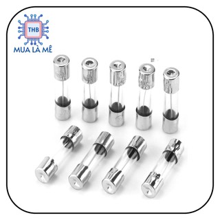 Cầu chì thủy tinh 5x20mm (10C)