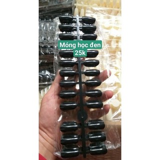 Túi móng học tập vẽ 10 vỉ 240 móng