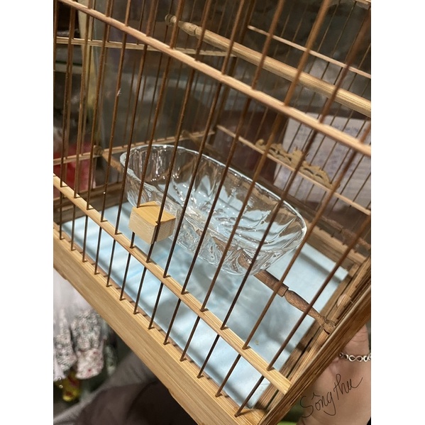 Khay tắm thuỷ tinh dành cho chim nhỏ