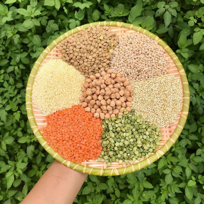 Đậu hạt hữu cơ dinh dưỡng cho bé từ 6M+ , Quinoa, kê , diêm mạch, táo đỏ Markal