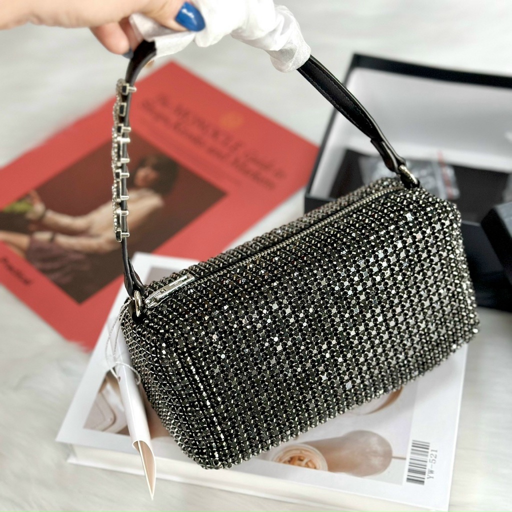 Túi Alexander Wang Bag