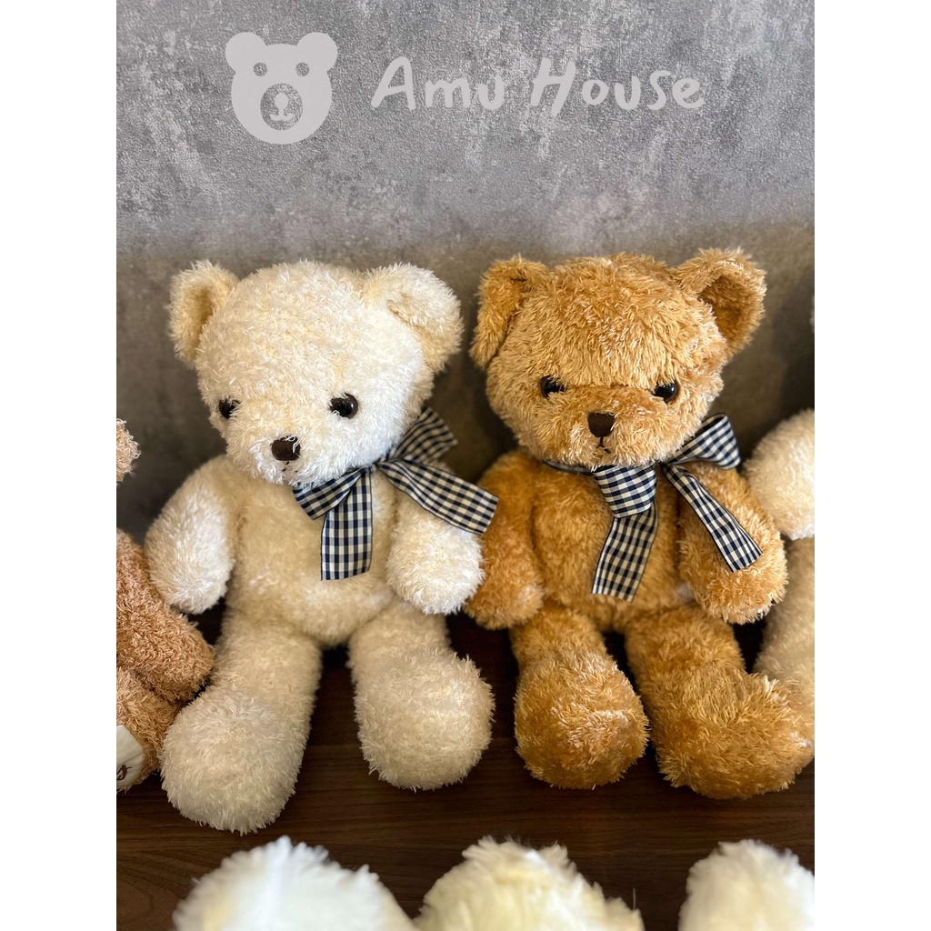 Gấu bông Teddy nhỏ dễ thương, Gấu bông Teddy love 25-35cm