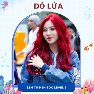 Thuốc Nhuộm Tóc Màu Đỏ Lửa, Không Tẩy - Risu Hair.