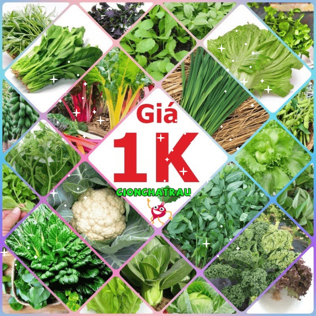 gionghatrau - hạt giống 4 mùa, Cửa hàng trực tuyến | Shopee Việt Nam