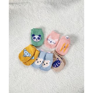 Set túi zip 5 đôi tất cho bé
