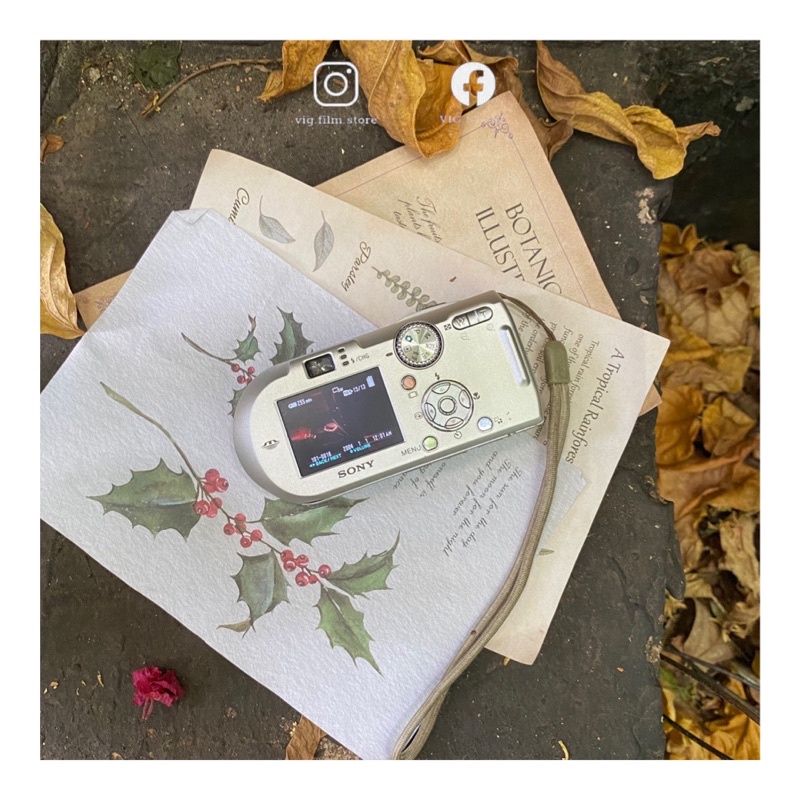 Máy ảnh Sony Cybershot DSC-P100