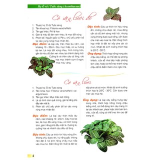 Sách - 365 Loài Hoa Cảnh