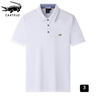 Áo polo nam 10 màu
