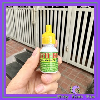Dung Dịch Diệt Đa Khuẩn Anti-Bio NUPHAR