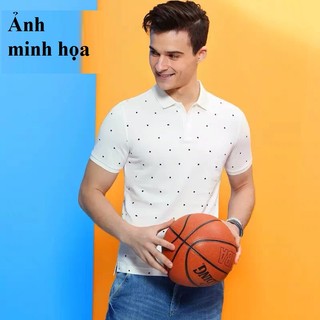 Áo phông có cổ nam