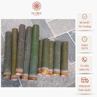 Ống nứa cơm lam , ống nứa nướng thịt đủ kích thước