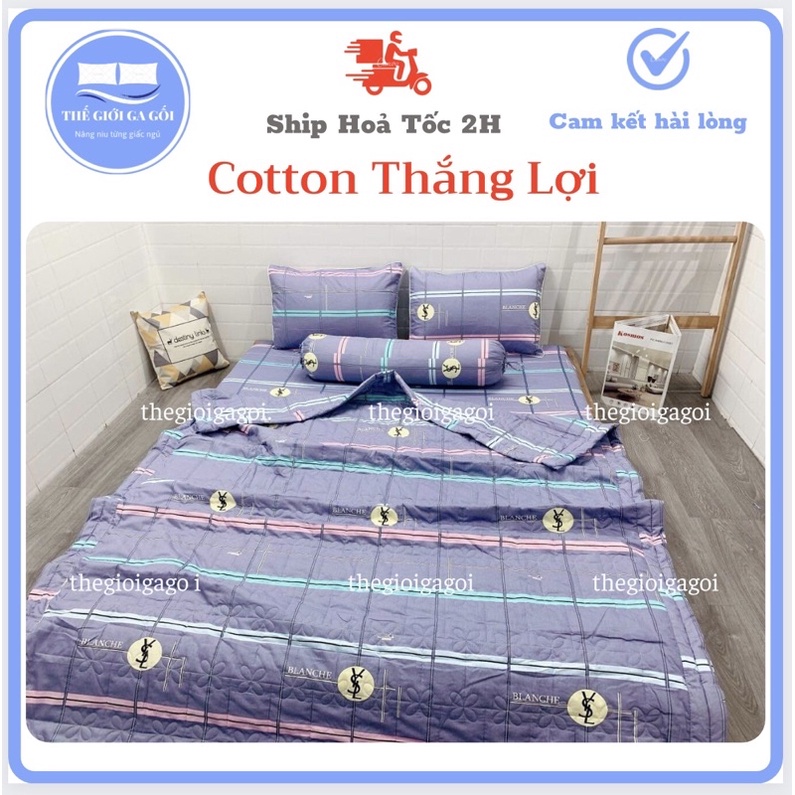 (RẺ VÔ ĐỊCH) ❤️Bộ Ga Cotton 100% Thắng Lợi❤️ {4 món} áo gối chần gòn mẫu Tam giác vàng