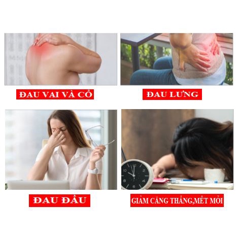 TINH DẦU NGẢI DÙNG CHO MASSAGE-HỘP 180ML