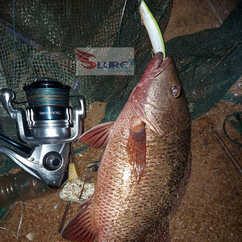 Mồi giả câu cá, lure DW51 13.5cm/17.5g