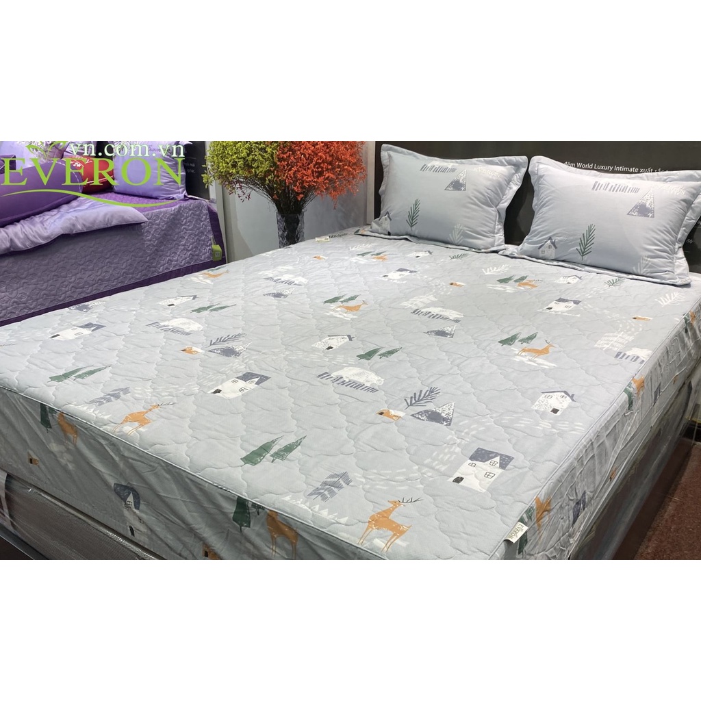 Bộ Ga chun SR07 Everon