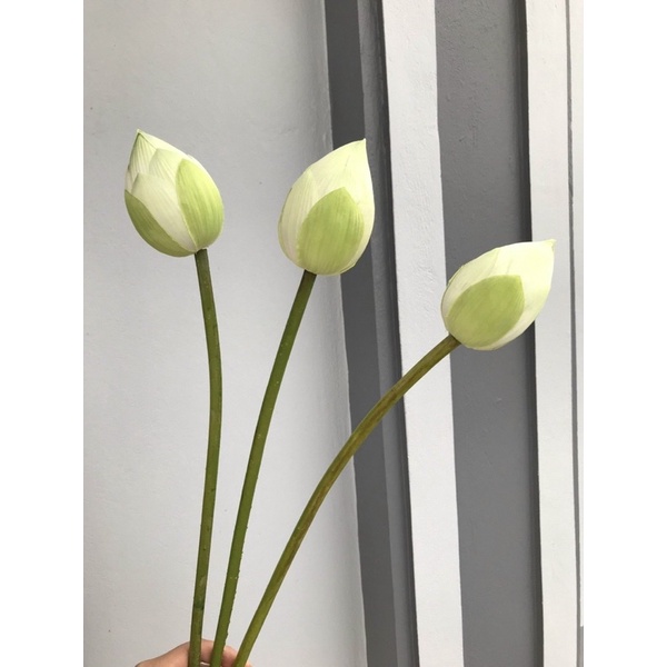 Sen quan âm _ hoa giả trang trí