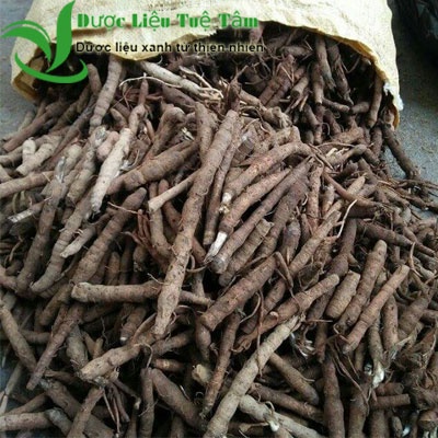 Sâm tiên mao - Sâm cau đen - Loại 1 khô cao cấp của Tuệ Tâm - Gói 100gr