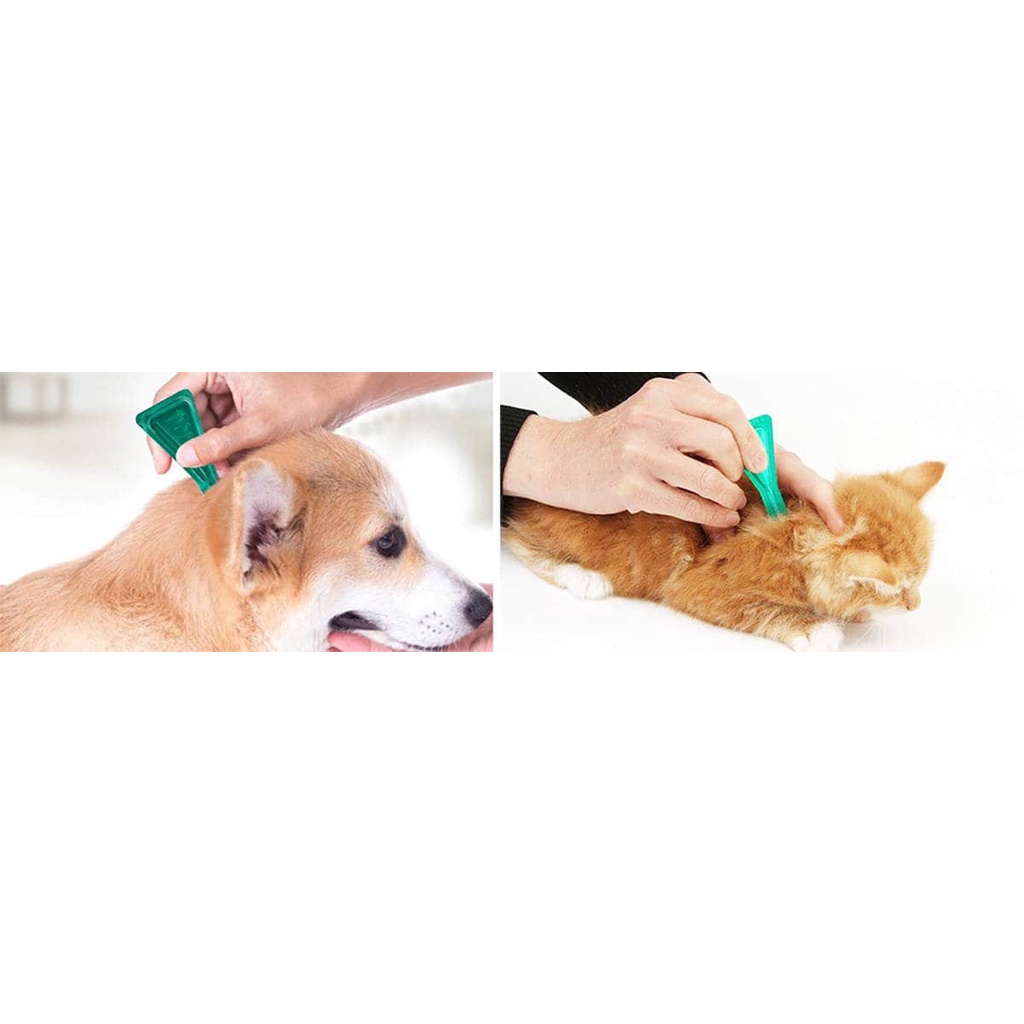 1 Tuýp Nhỏ Gáy Trị Ve và Bọ Chét Trên Mèo - FRONTLINE PLUS CAT