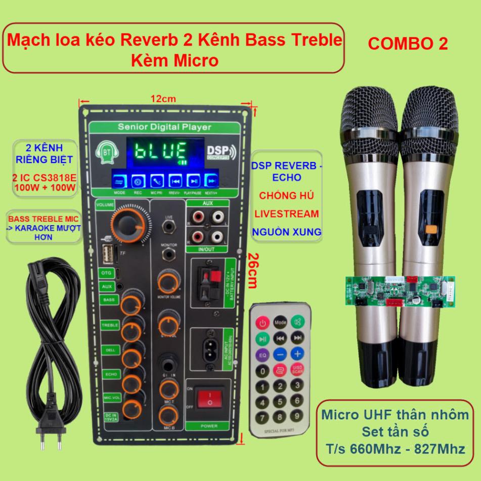 Mạch loa kéo 2 kênh OTG Livestream Chống hú DSP Reverb – Echo 2 IC CS3818E 100W + 100W – Loa kéo 3 tấc đôi Kèm Micro